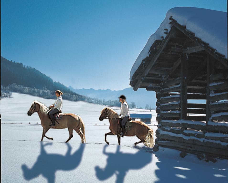 Hotel Schoerhof Saalfelden Екстериор снимка