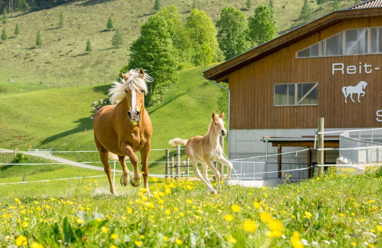 Hotel Schoerhof Saalfelden Екстериор снимка